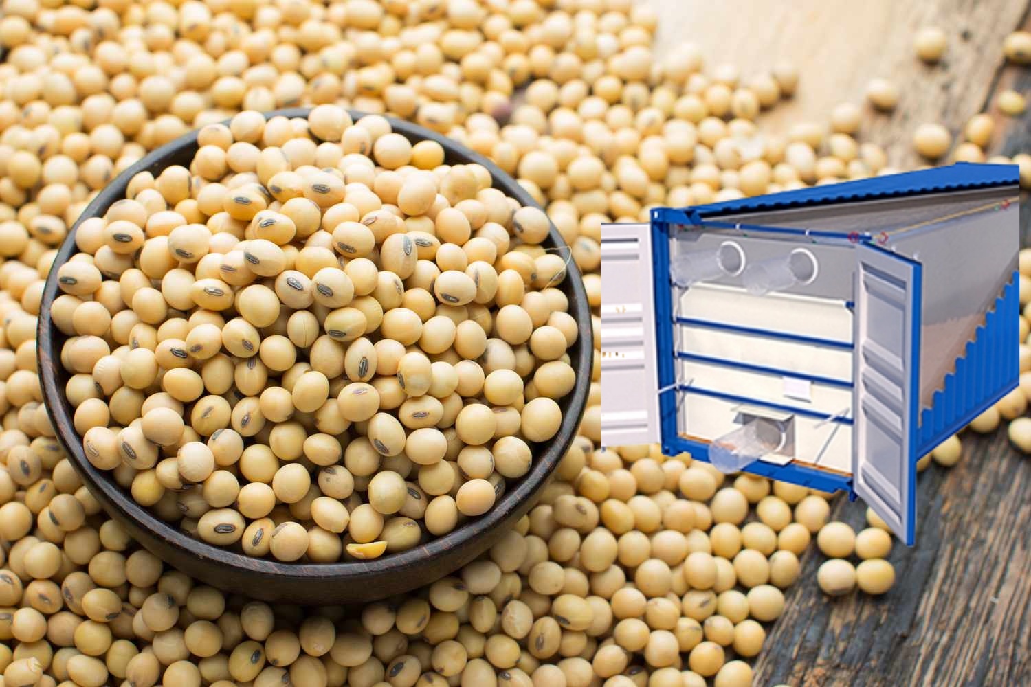 close-up-of-soy-beans-717368577-5abc422fba6177003796e9bd close-up-of-soy-beans-717368577-5abc422fba6177003796e9bd