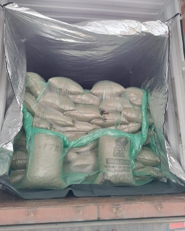 Custom 5.9*2.4m PE Container Liner Bulk Container Liners for Corn