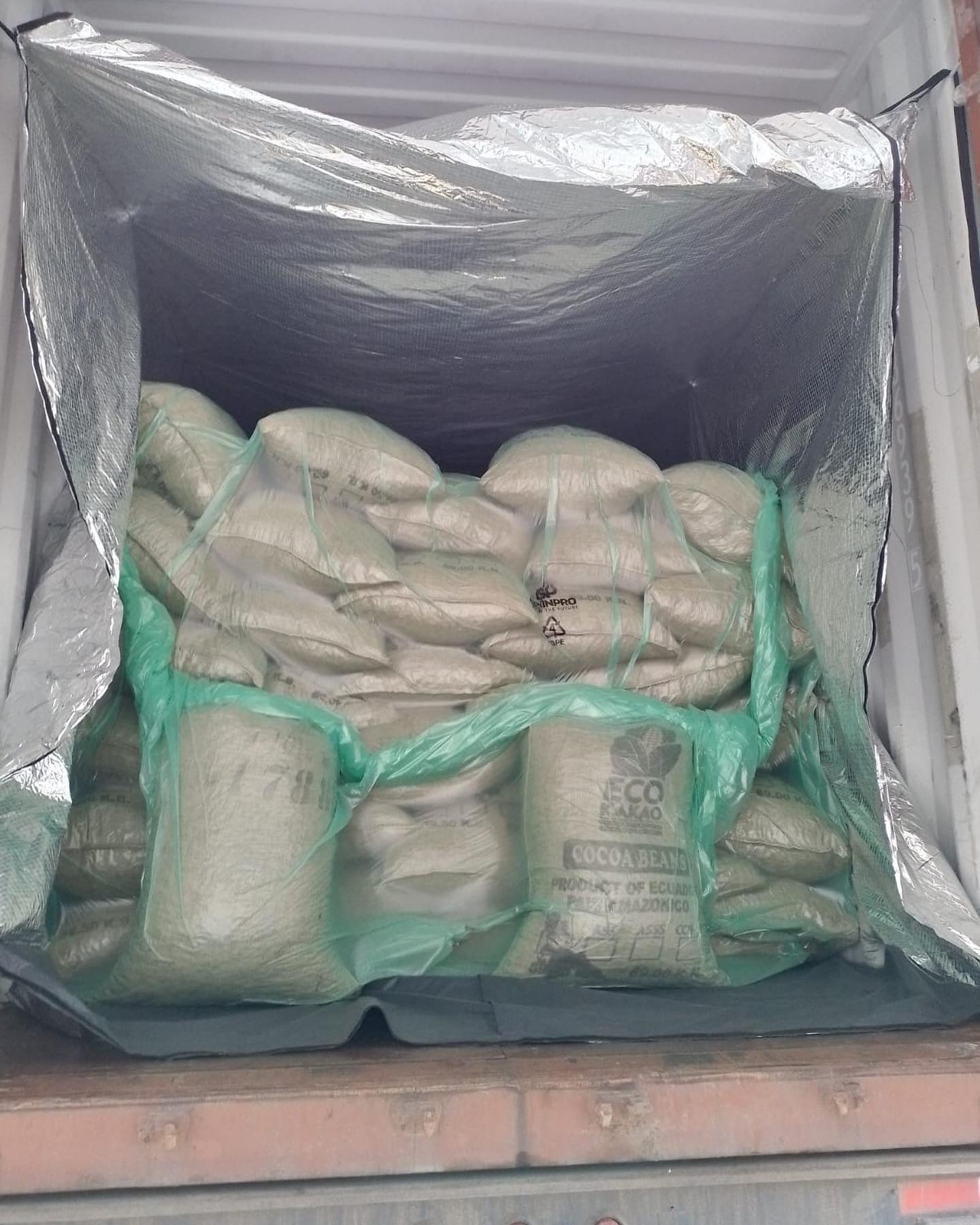 Custom 5.9*2.4m PE Container Liner Bulk Container Liners for Corn