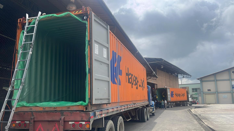 20FT Industry Grade PE Dry Bulk Container Liner for Fertilisers Transport