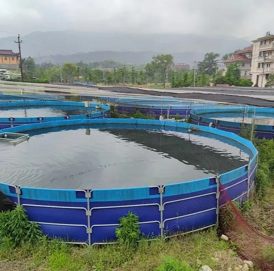 China Supplier Round Large Canvas Farm Plastic Support Aquaculture Fish Tank