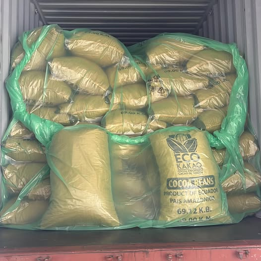 20FT Cuff Thicker PE Film Sea Bulk Liners for Bulk Milk Powder