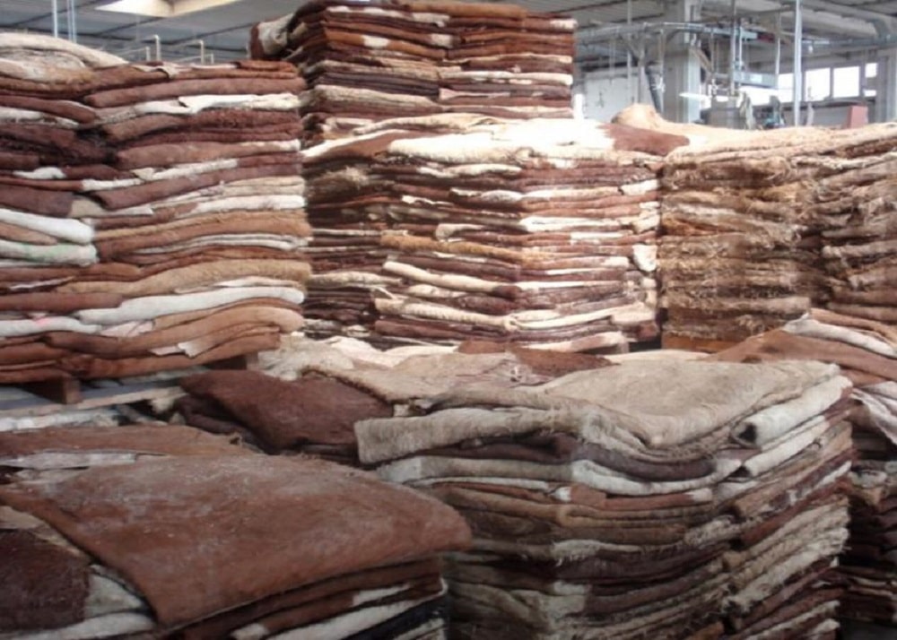 Container Dry Bulk Liner: A Professional Choice for Raw Hides Transport