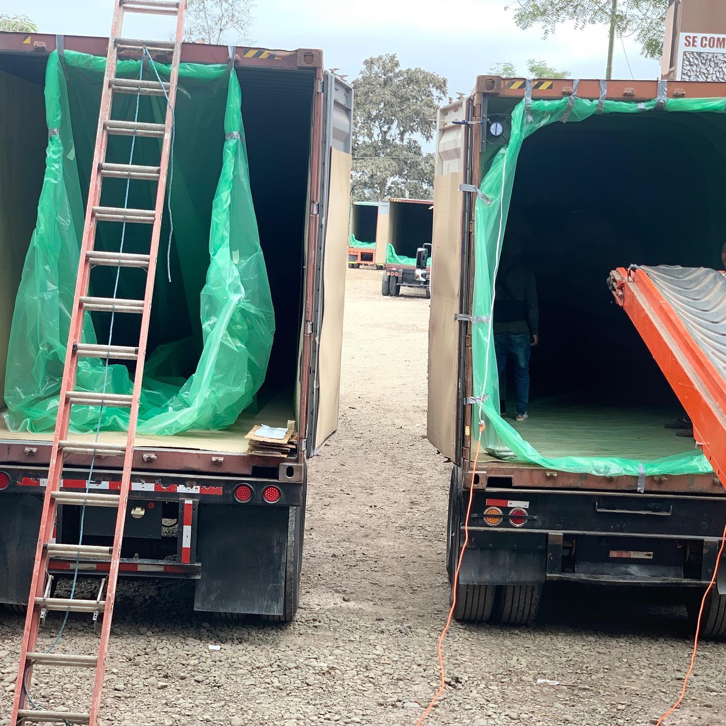 Custom 5.9*2.4m PE Container Liner Bulk Container Liners for Corn