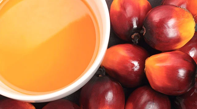 Ocean Blue Whale Successfully Ships Malaysian Palm Oil Using Insulated Flexitank System with Integrated Heating Pads