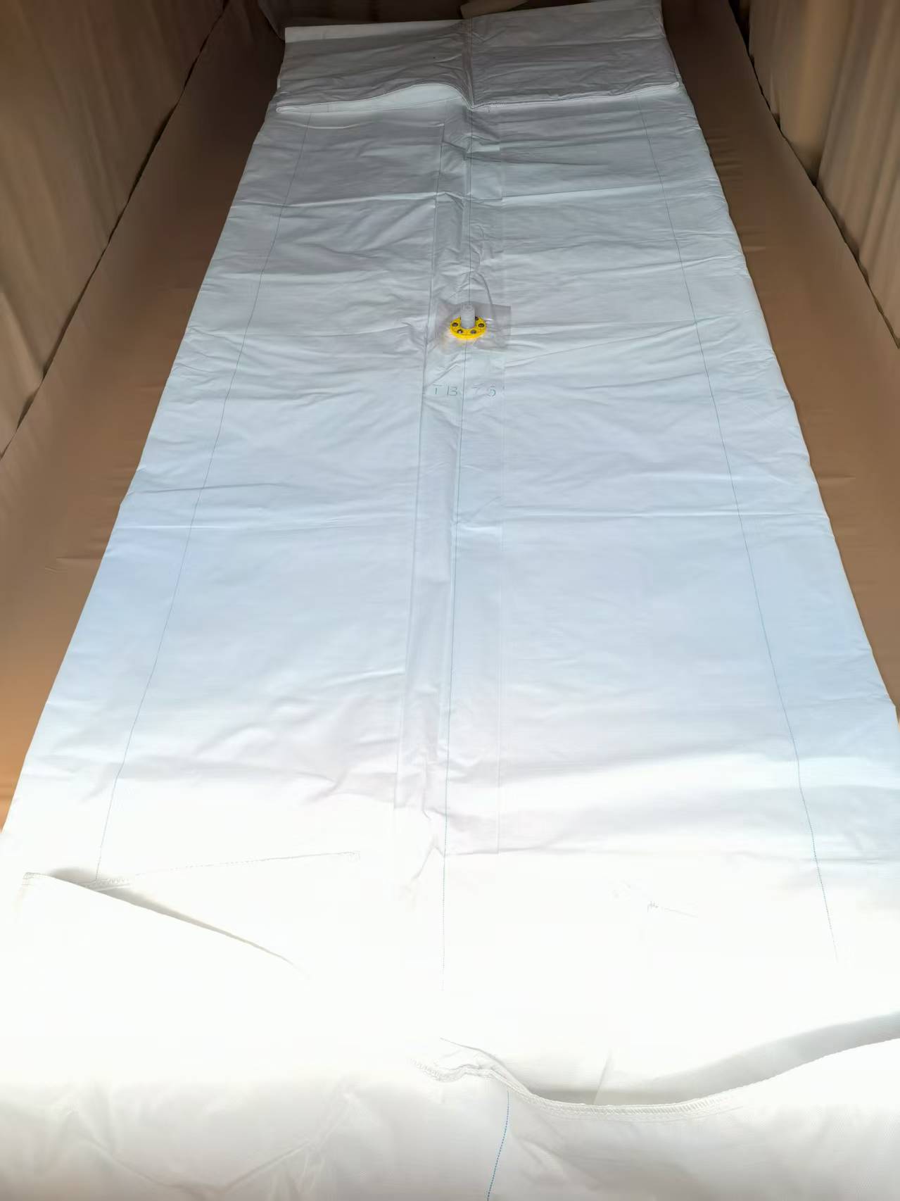 20FT Container Oil Flexitank at Competitive Flexitank Price