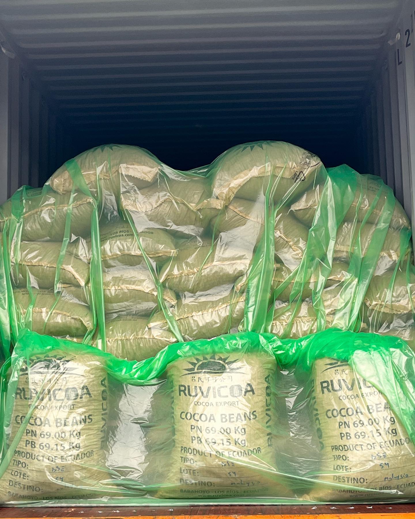 Custom 5.9*2.4m PE Container Liner Bulk Container Liners for Corn